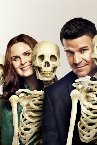 Bones. T(T10). Bones (T10): Ep.6 El amor perdido en el extranjero