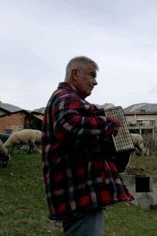 Pastors i ramats: un món que se'n va. Pastors i ramats: un...: Un pastor mai no es retira: Montserrat Farrés, V. Pons, A. Layunta i J. Domènech