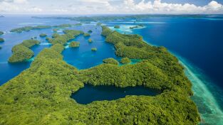 Arqueología en la jungla. Arqueología en la...: La criatura del lago Eacham