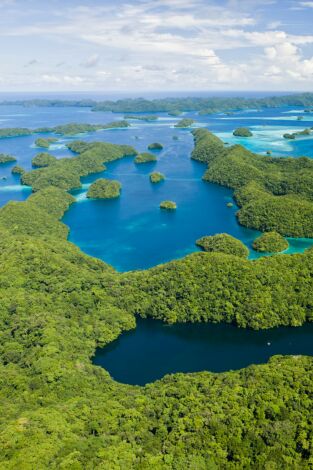 Arqueología en la jungla. Arqueología en la...: Construcciones secretas de Guatemala