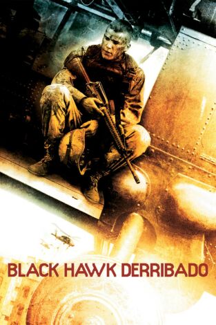 Black Hawk derribado