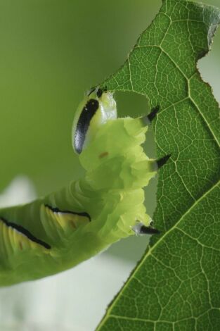 Momentos magicos. El hechizo de la naturaleza