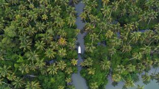 India desde el cielo. India desde el cielo: Maravillas de la naturaleza