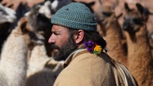 Supervivencia en la tribu: En los Andes. Supervivencia en la...: Ascenso peligroso