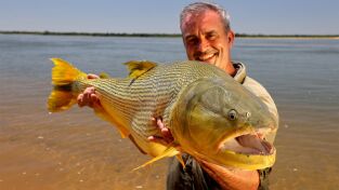 Los últimos peces gigantes. Los últimos peces...: Fin de trayecto