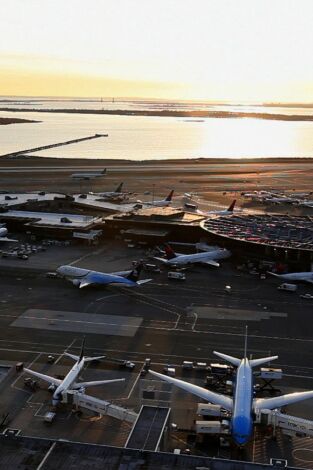 Control de aeropuertos: USA. Control de...: Cachorros de contrabando