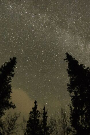 Los más letales de Alaska: el acecho del depredador