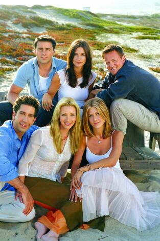 Friends. T(T8). Friends (T8): Ep.1 El de después del 