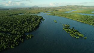 La vida secreta de los manglares. La vida secreta de los...: Madagascar: el bosque de los espíritus