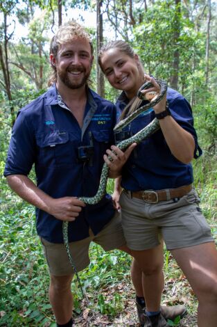 Australia: cazadores de serpientes. Australia: cazadores...: En apuros