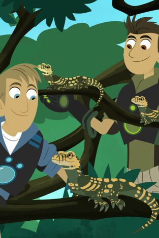 Los hermanos Kratt. T(T5). Los hermanos Kratt (T5): El templo de los tigres