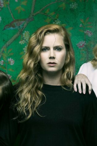 Heridas abiertas (Sharp Objects). T(T1). Heridas abiertas... (T1): Ep.5 Intimar