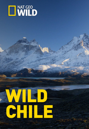 Wild Chile · Los extremos de la Tierra en la programación de Nat Geo Wild HD (Naturaleza)