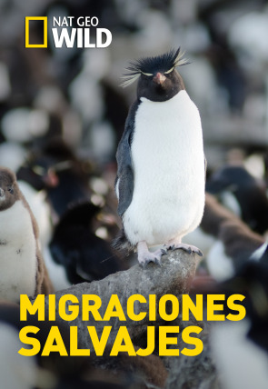 Poster de la película Migraciones salvajes · El asombroso viaje de las monarcas - Películas hoy en TV