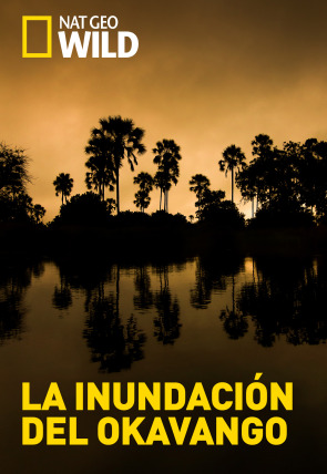 Poster de La inundación del Okavango · Primer impulso