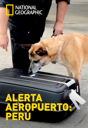 Poster de Alerta Aeropuerto 3: Perú