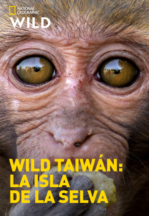 Poster de la película Wild Taiwán: la isla de la selva - Películas hoy en TV