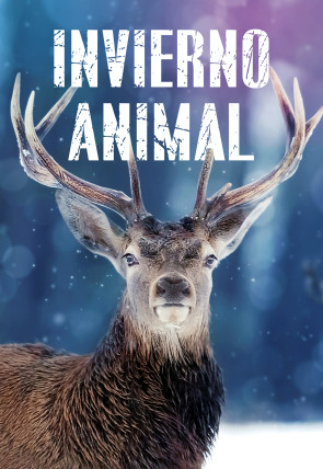 Poster de la película Invierno animal - Películas hoy en TV