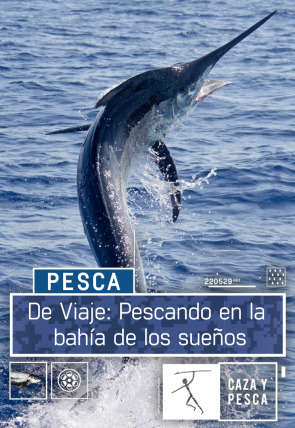 Poster de la película De viaje: pescando en la bahía de los sueños - Películas hoy en TV