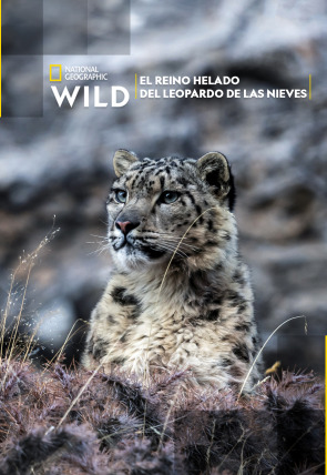 Poster de El reino helado del leopardo de las nieves