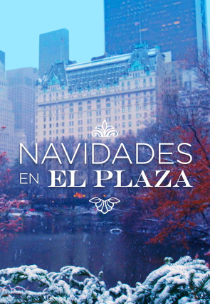 Poster de Navidades en el Plaza