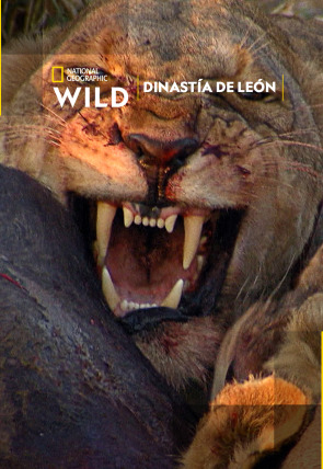 Dinastía de león en la programación de Nat Geo Wild HD (Documentales)