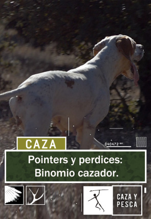 Pointers y perdices: Binomio cazador en la programación de Caza y Pesca HD (Ocio y Aficiones)