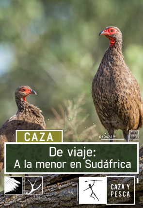 De viaje: a la menor en Sudáfrica en la programación de Caza y Pesca HD (Ocio y Aficiones)