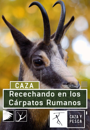 Recechando en los Cárpatos rumanos en la programación de Caza y Pesca HD (Caza y pesca)