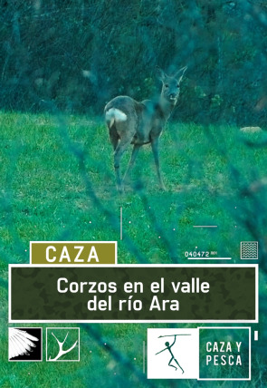 Poster de la película Corzos en el valle del río Ara - Películas hoy en TV