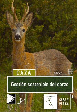 Gestión sostenible del corzo en la programación de Caza y Pesca HD (Caza y pesca)