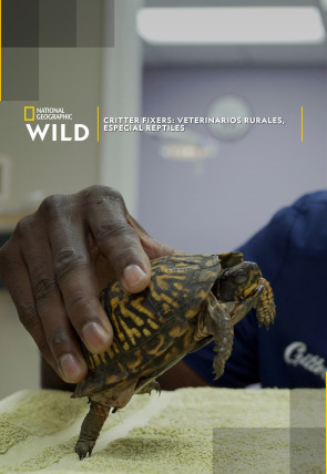 Critter fixers: Veterinarios rurales, especial reptiles en la programación de Nat Geo Wild HD (Documentales)