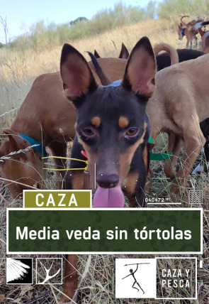 Media veda sin Tórtolas portada