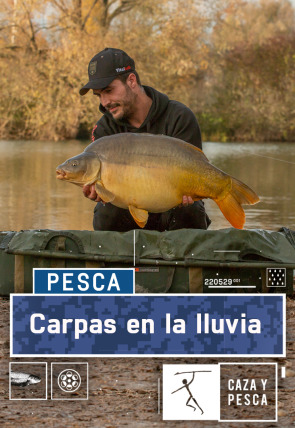 Poster de Carpas en la lluvia