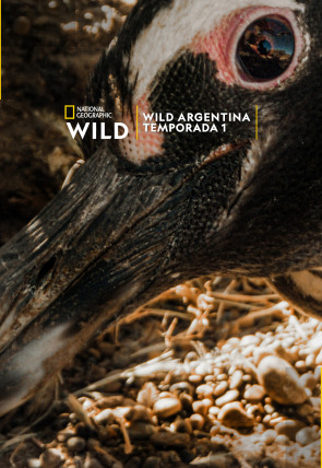 Poster de la película Wild Argentina · Tierra de agua - Películas hoy en TV