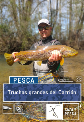 Truchas grandes del Carrión en la programación de Caza y Pesca HD (Ocio y Aficiones)