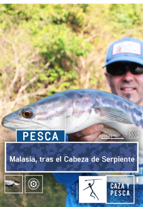 Malasia, tras el Cabeza de Serpiente en la programación de Caza y Pesca HD (Ocio y Aficiones)