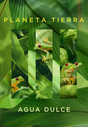 Poster de Planeta Tierra III: Agua dulce