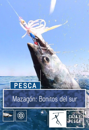 Mazagón: bonitos del Sur en la programación de Caza y Pesca HD (Ocio y Aficiones)