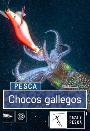 Chocos gallegos en la programación de Caza y Pesca HD (Ocio y Aficiones)