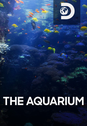 The Aquarium T1 E10 en la programación de Discovery (Entretenimiento)