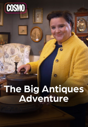 Poster de The big antiques adventure