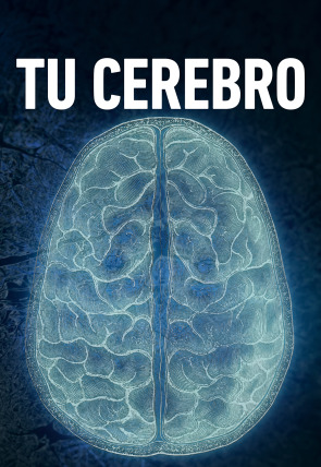 Tu cerebro: La percepción en la programación de M+ Documentales HD (Documentales)