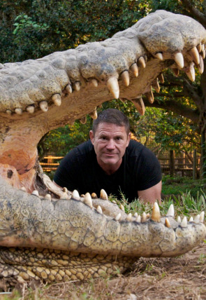 Poster de la película Hipopótamos y cocodrilos con Steve Backshall · Cocodrilos con Steve Backshall II - Películas hoy en TV