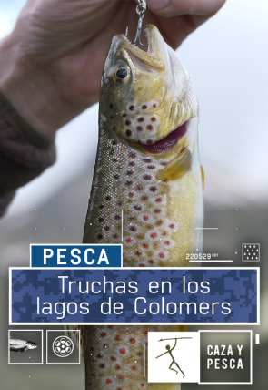 Poster de la película Truchas en los lagos de Colomers - Películas hoy en TV