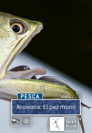 Arowana: el pez mono en la programación de Caza y Pesca HD (Caza y pesca)