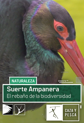 Suerte Ampanera, rebaño de biodiversidad en la programación de Caza y Pesca HD (Ocio y Aficiones)