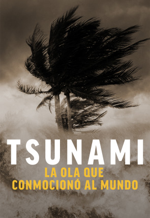 Tsunami: la ola que conmocionó al mundo E1 en la programación de M+ Documentales HD (Documentales)