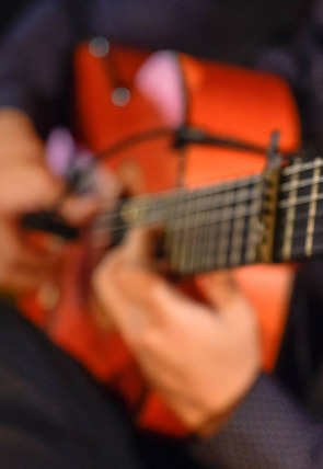 Flamenco Andalucía en la programación de Andalucía TV (Música)