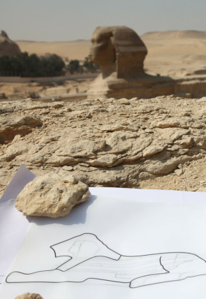 Tesoros al descubierto: El enigma de Petra en la programación de DMAX